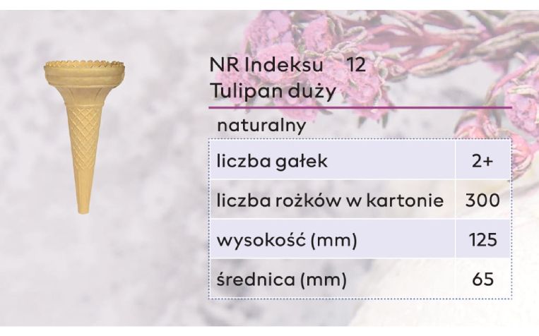 Rożek wafle lody bez cukru